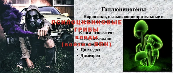 ECSTASY Покачи