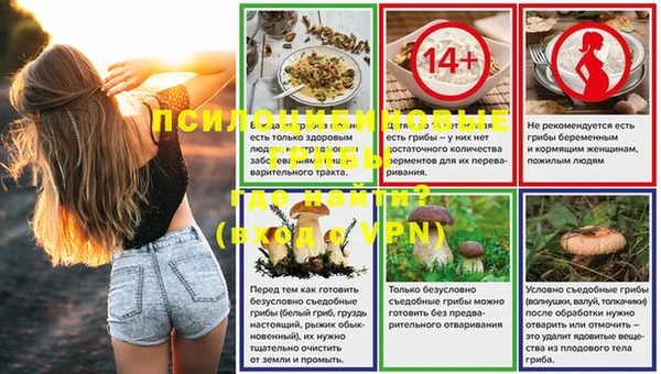 ECSTASY Покачи