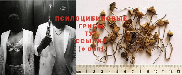 крисы Абинск