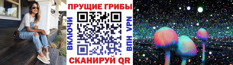 Псилоцибиновые грибы Magic Shrooms  Зеленодольск 