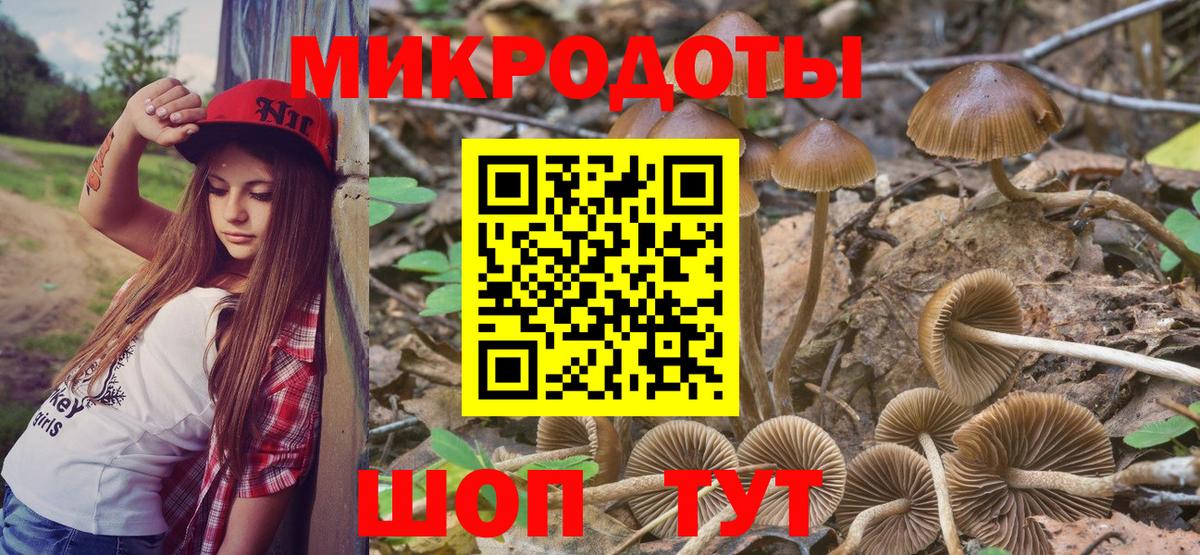Галлюциногенные грибы ЛСД  Галлюциногенные грибы прущие грибы  Зеленодольск  Вход с VPN 