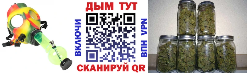Канабис семена  blacksprut зеркало  Зеленодольск  купить наркотики цена 